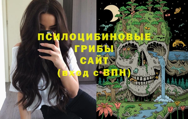 мескалин Осинники