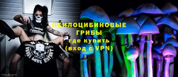 mdpv Пересвет