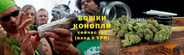 mdpv Пересвет