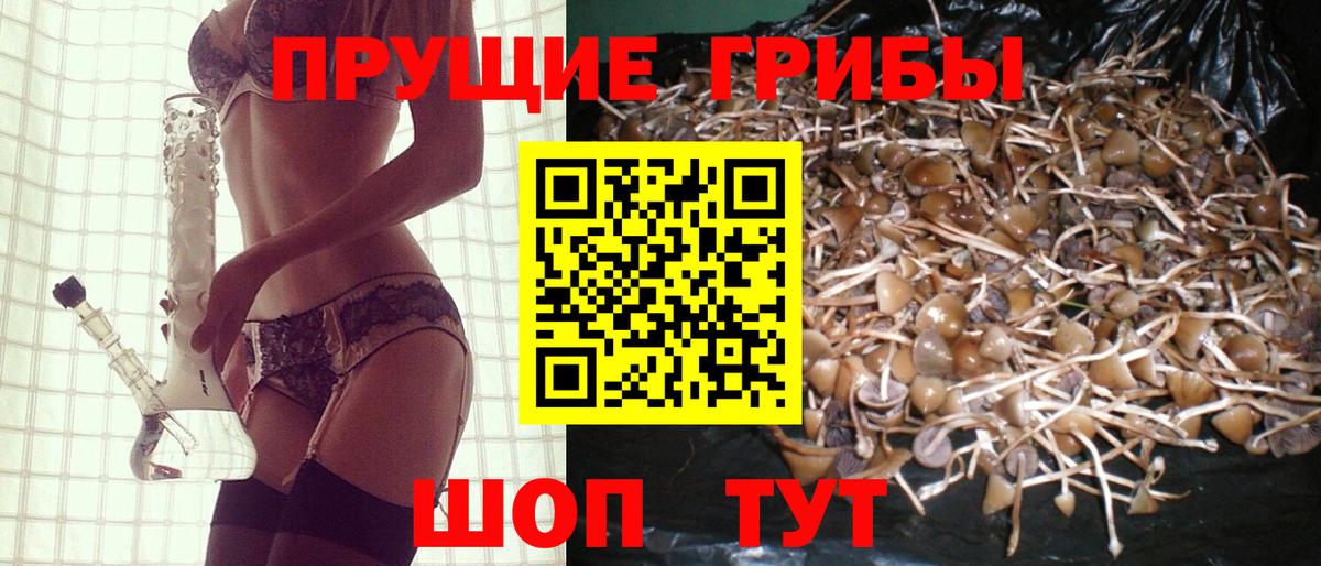 Псилоцибиновые грибы прущие грибы  Псилоцибиновые грибы мухоморы  Белебей 