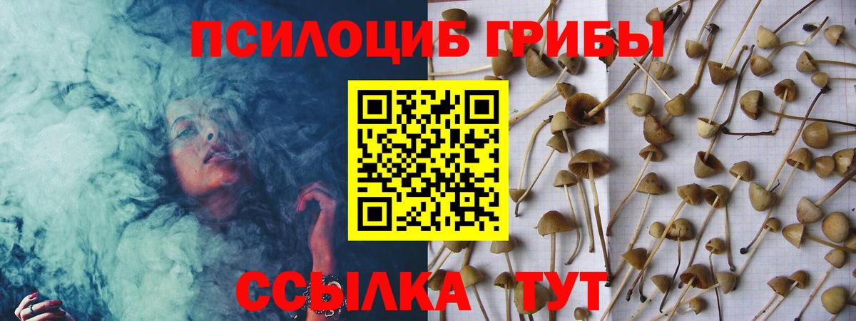 Галлюциногенные грибы прущие грибы Белебей