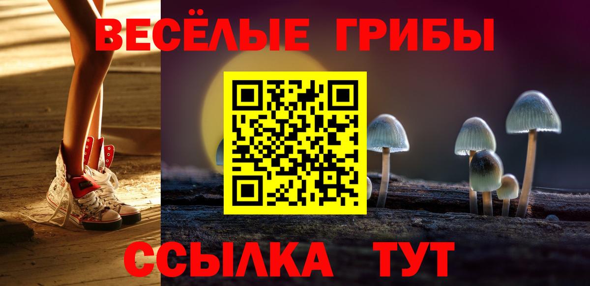 Псилоцибиновые грибы Psilocybe  Вход с VPN  Белебей 